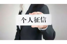 邹平女煤老板要账事件：一场商业纠纷的曲折历程