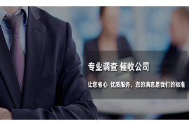 怎样讨债打官司：高效解决债务纠纷的指南