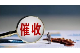 讨债公司断我家电闸:揭秘债务催收的边界与法律 讨债公司断我家电闸:揭秘债务催收的边界与法律